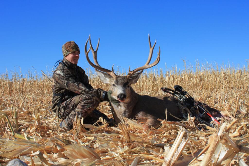 November Mulies? Yes, Please!