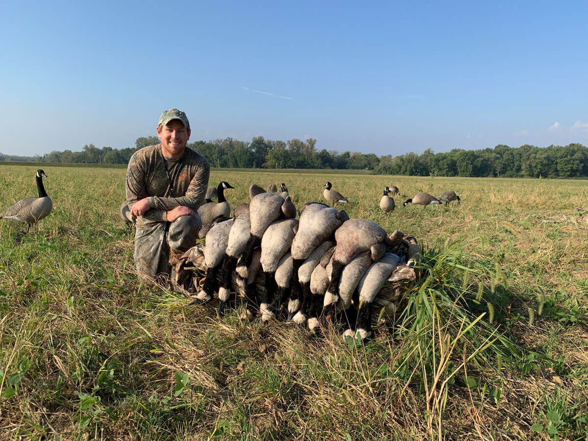 Early Season Goose