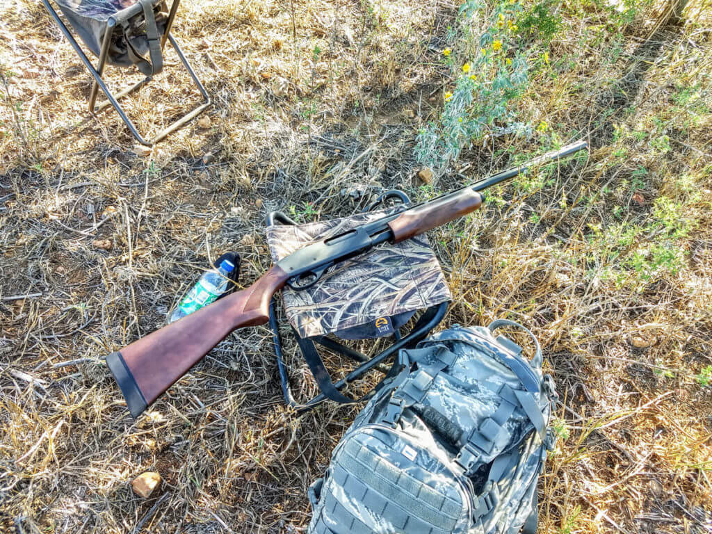 Texas Fall/Winter Dove Hunting Can Be Very Good, Even If You Are a Lousy Dove Hunter!