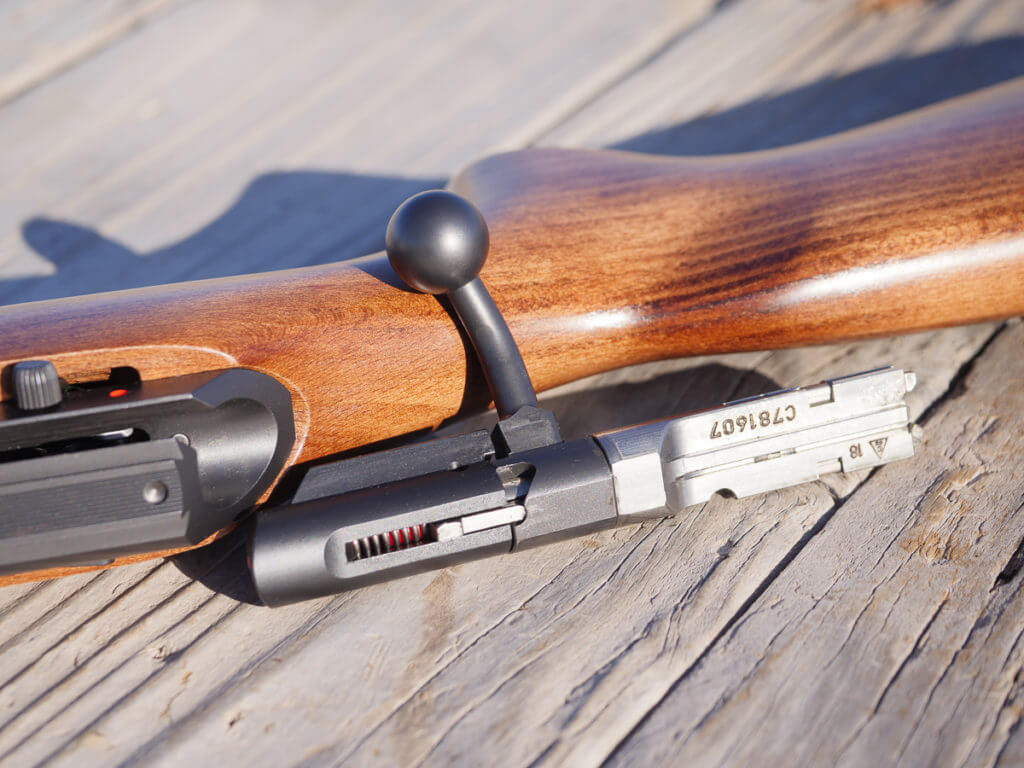 CZ's New Tack Driver Comes Sized For Youth: CZ 457 Scout