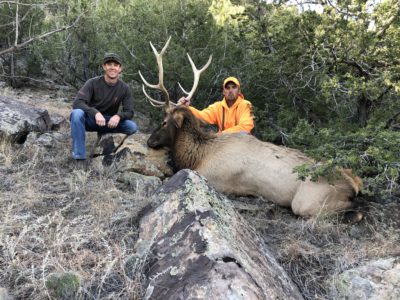 Elk Hunting: Don't Make It Miserable!