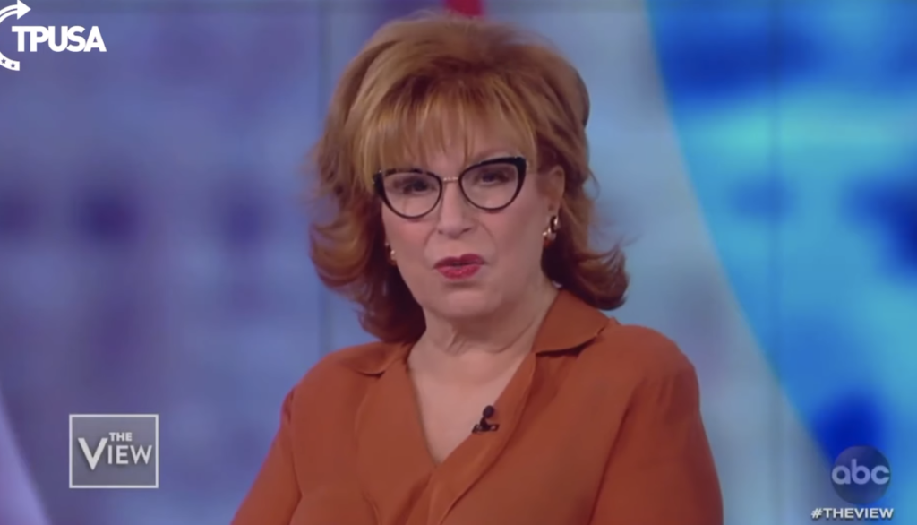 Joy Behar: Wait to get elected before you take guns away