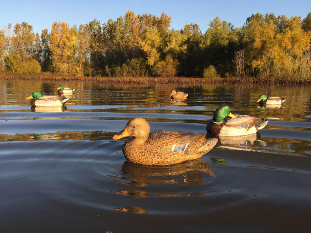 Flambeau’s Gunning Series Decoys