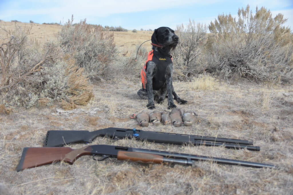 Stoeger M3K Freedom Series 3-Gun Shotgun: A Competition Ready Budget Option