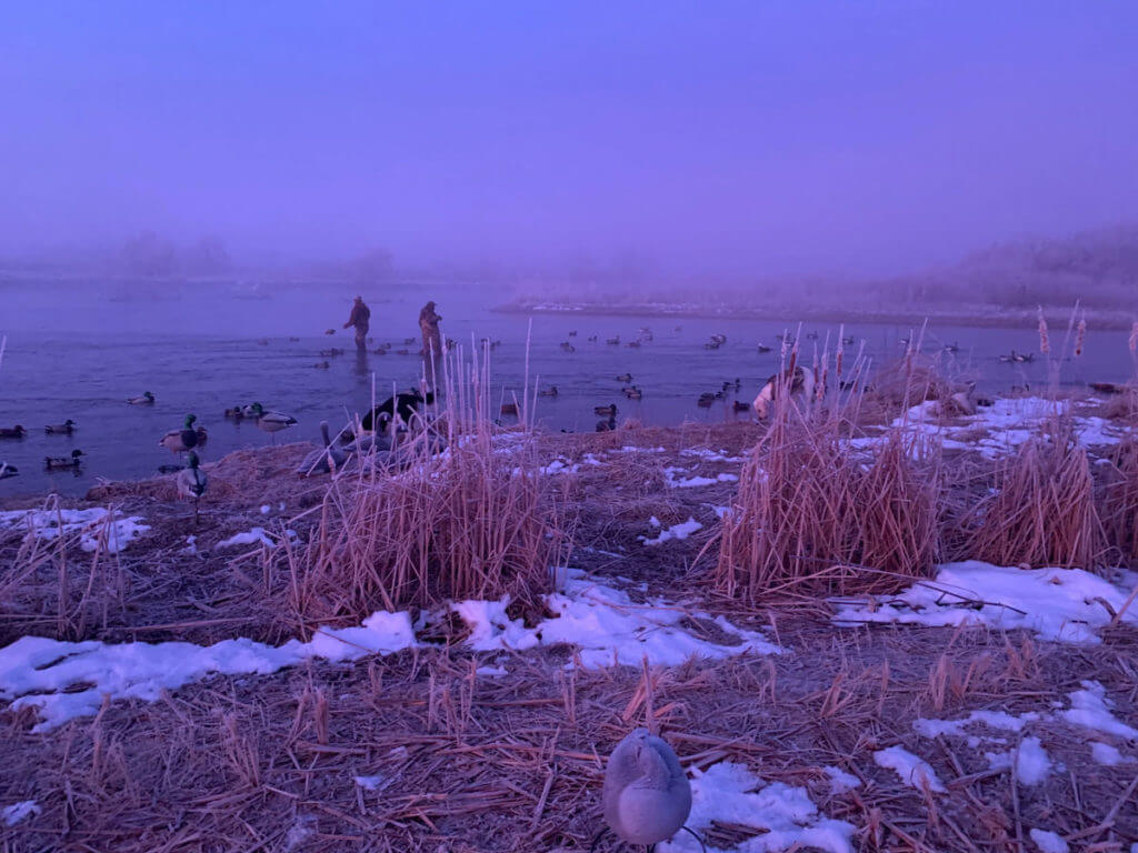 Hunting the River for Ducks