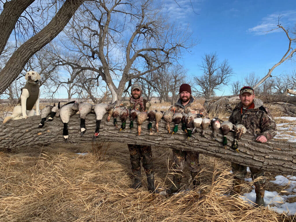 Hunting the River for Ducks