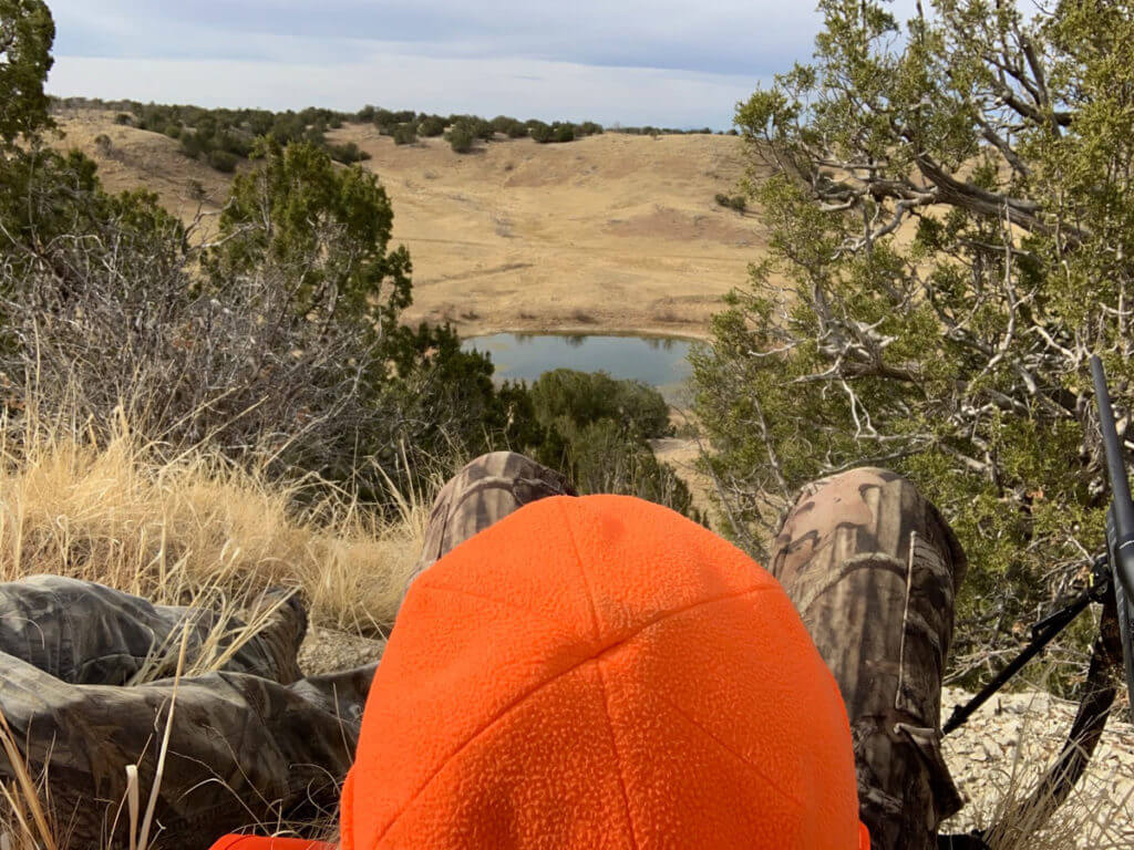 Late Season Still Hunting Elk