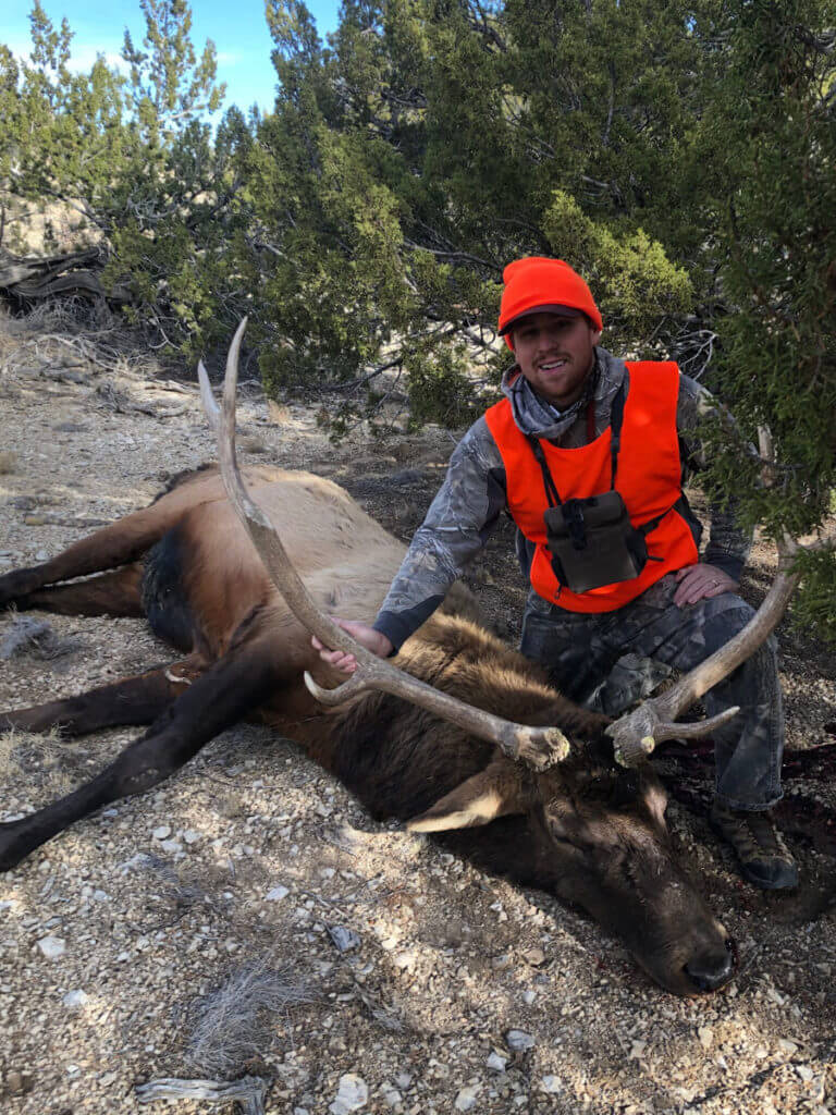 Late Season Still Hunting Elk