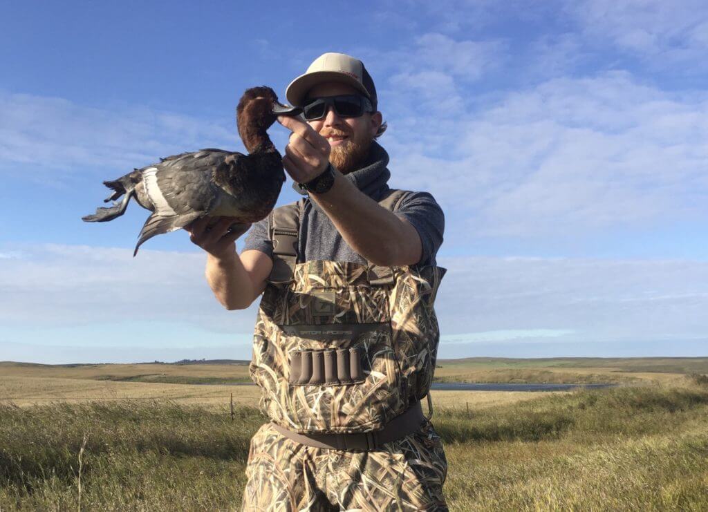 North Dakota Duck Hunt with Savage Arms' New ReneGAUGE Shotgun