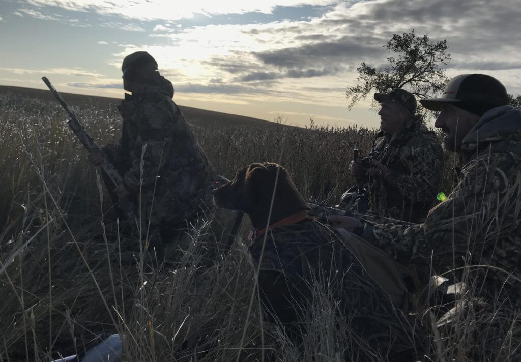 North Dakota Duck Hunt with Savage Arms' New ReneGAUGE Shotgun