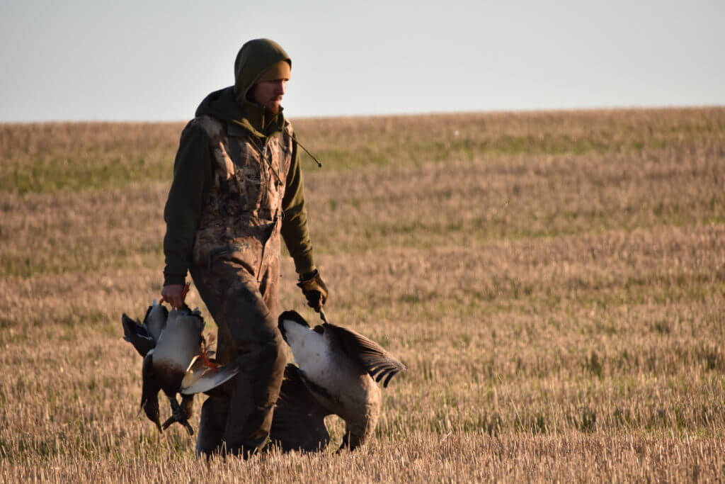 North Dakota Duck Hunt with Savage Arms' New ReneGAUGE Shotgun