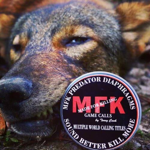 Calling All Coyotes: MFK Game Calls