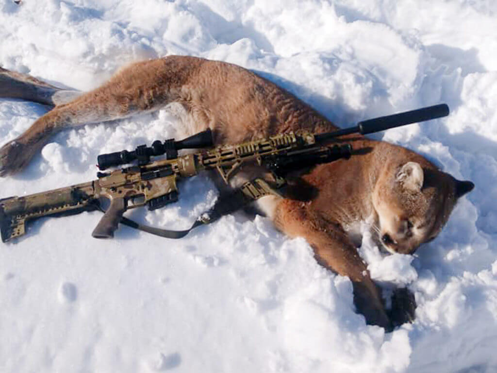 Nebraska Cougar Hunter Is One Happy Cat