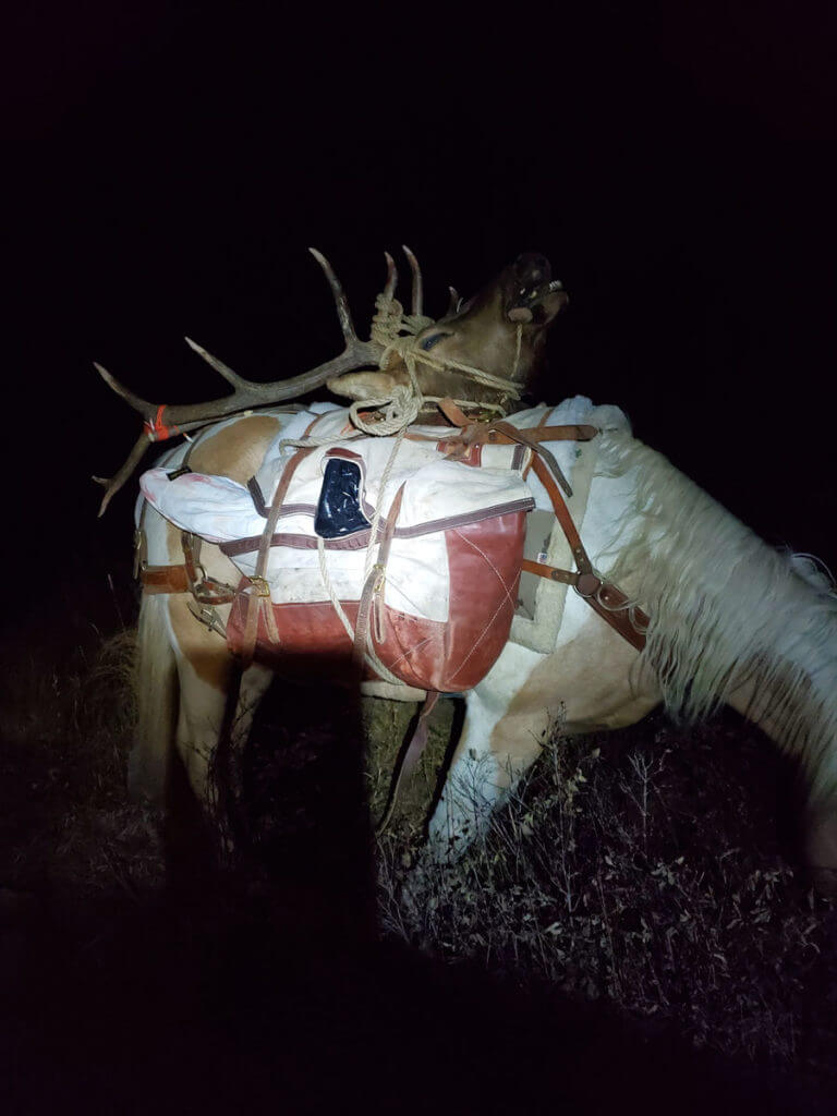 Unforgettable Elk Hunt With the SIG CROSS Rifle in .277 SIG FURY