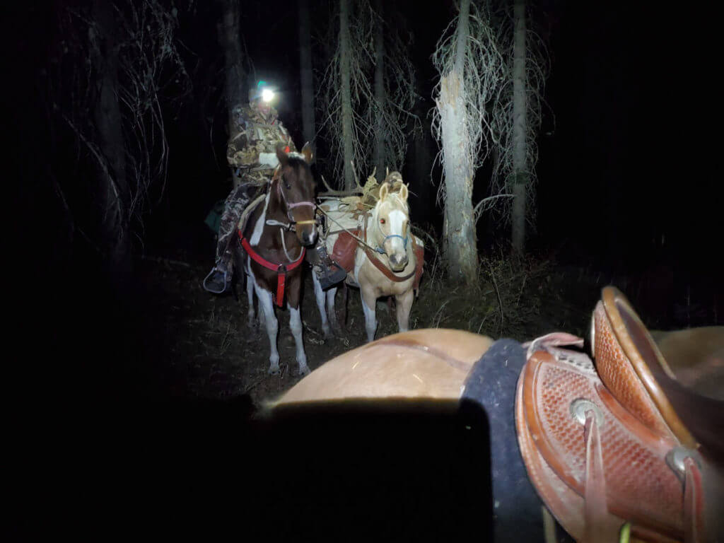 Unforgettable Elk Hunt With the SIG CROSS Rifle in .277 SIG FURY