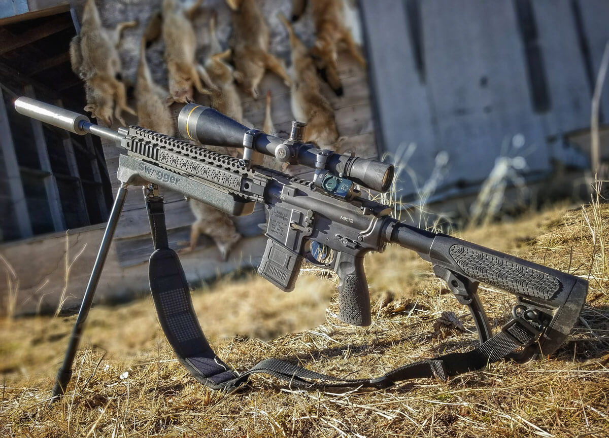 The Ultimate AR for Coyote Hunting