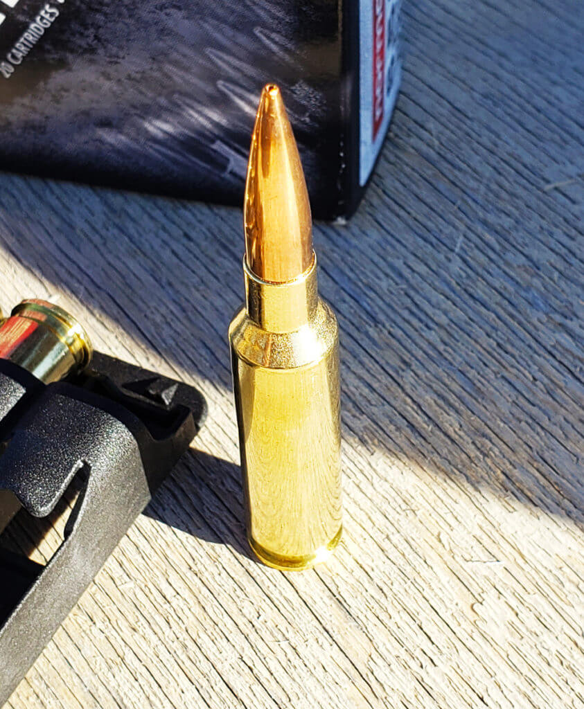 Ammo Tests - Norma Ammunition Round-Up