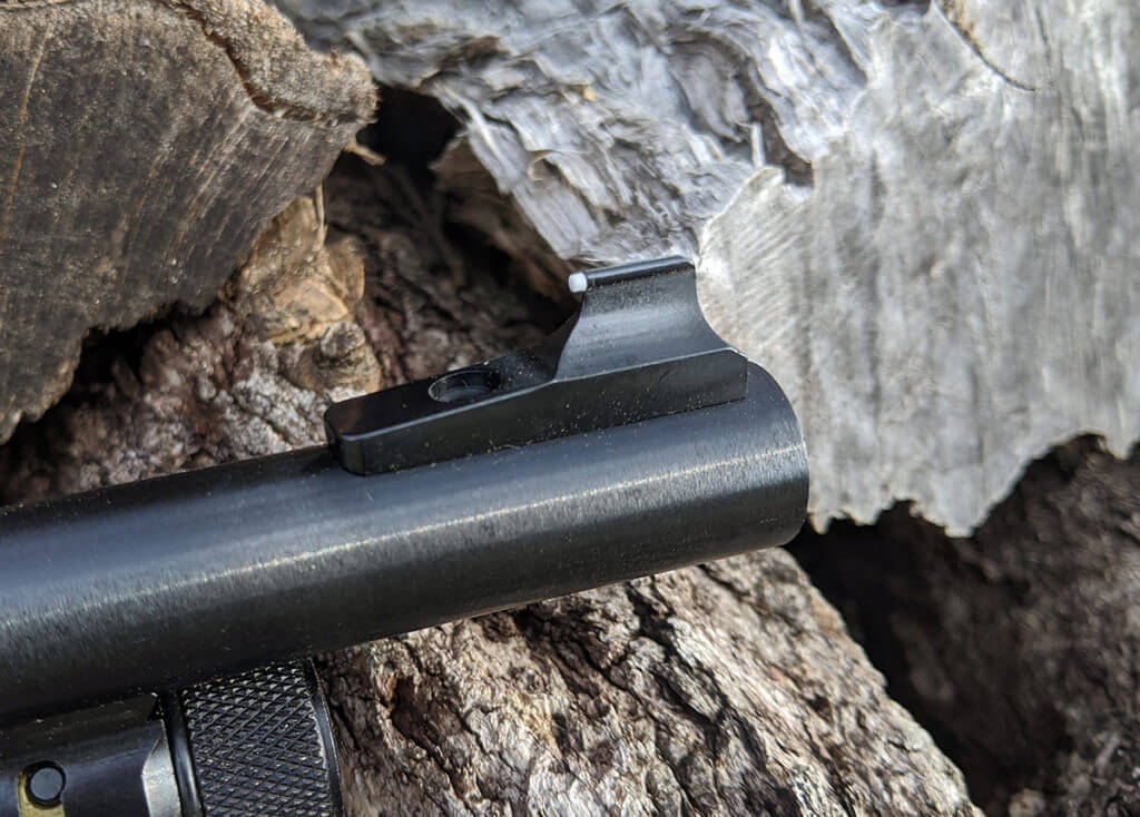 Prettiest Survival Shotgun in the World? Henry .410 Side Gate (Full Review)