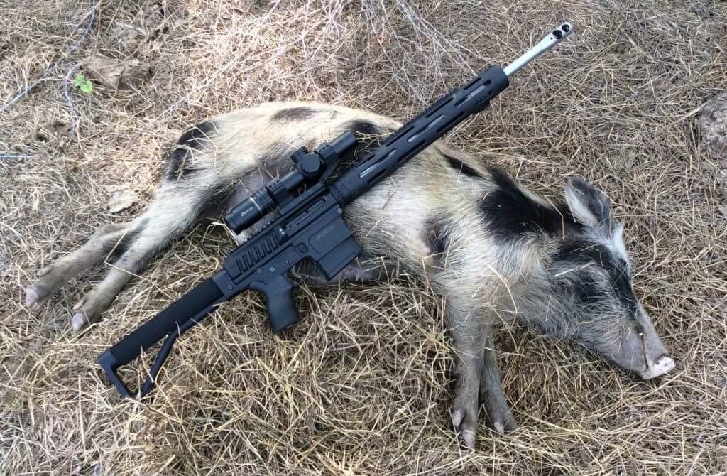 Baits and Lures for Feral Hogs