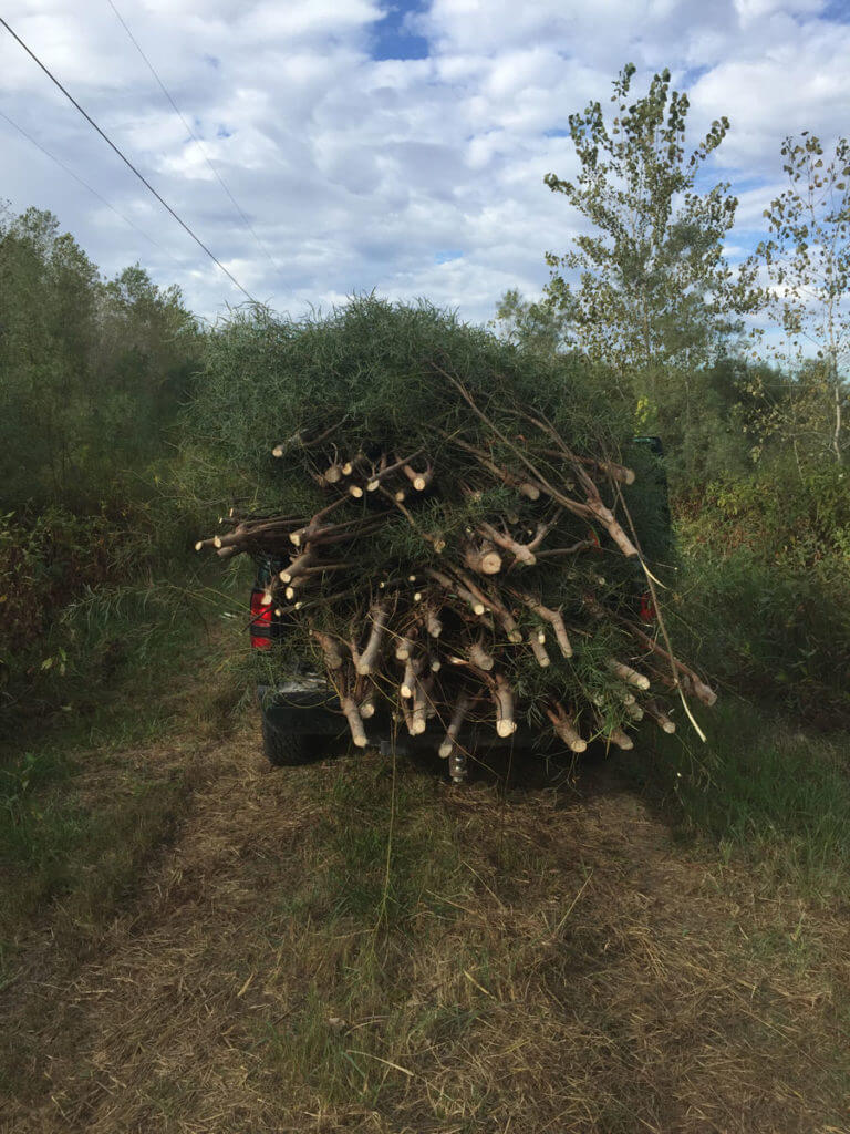 More Places to Hunt Waterfowl