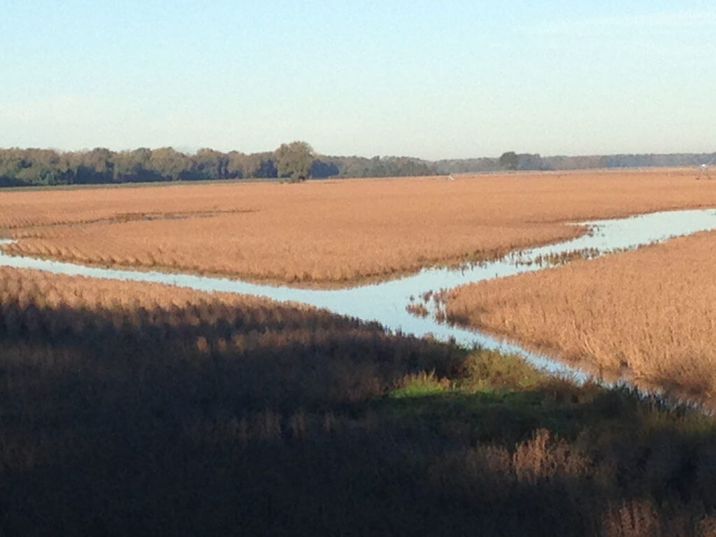 More Places to Hunt Waterfowl