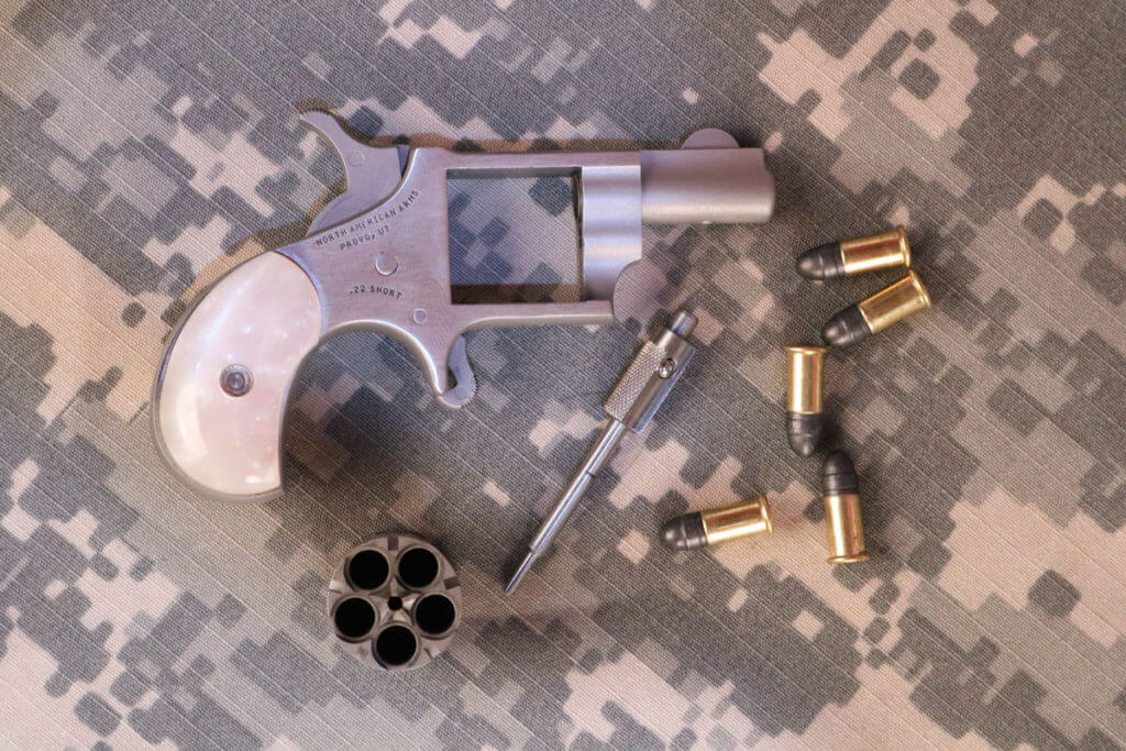 The Tiny Pocket-Sized North American Arms Zebra Killer