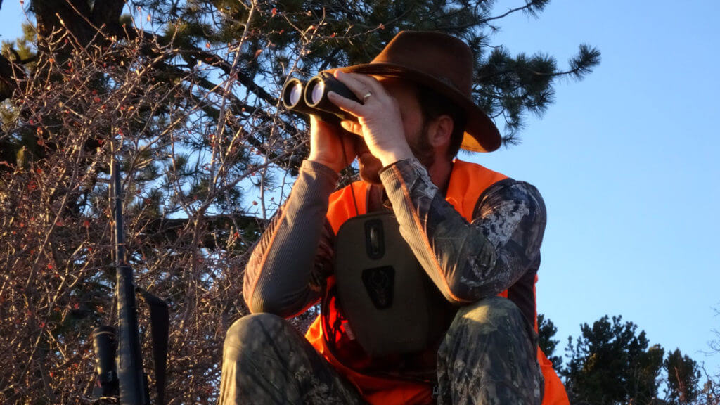 Spot and Stalk A Mule Deer