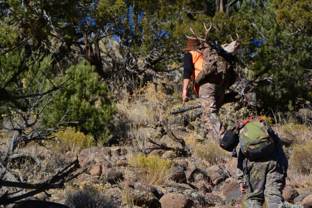 Spot and Stalk A Mule Deer