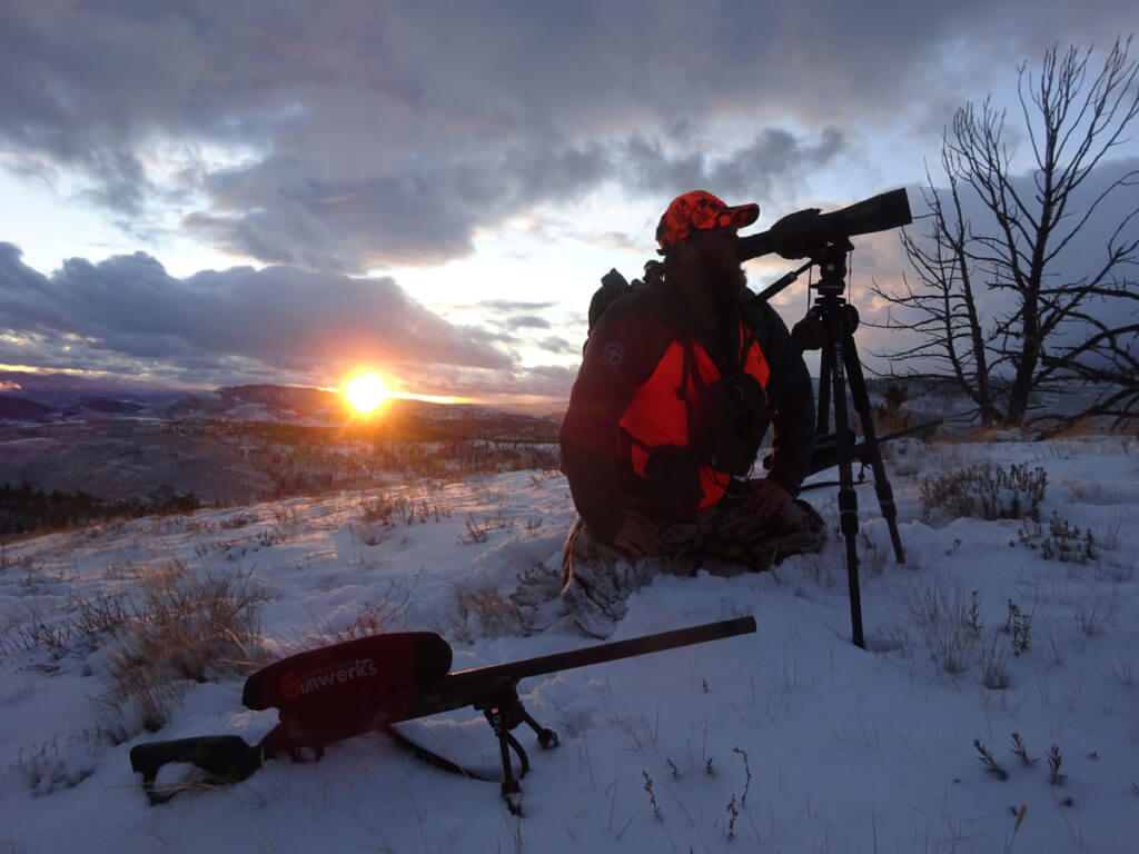 Spot and Stalk A Mule Deer