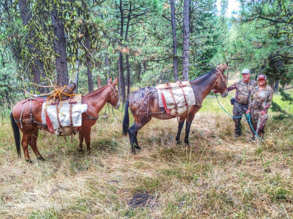 Peak Rut Elk Hunting Strategies