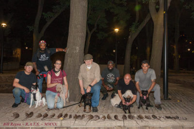 Meet the Rat Hunters of New York City