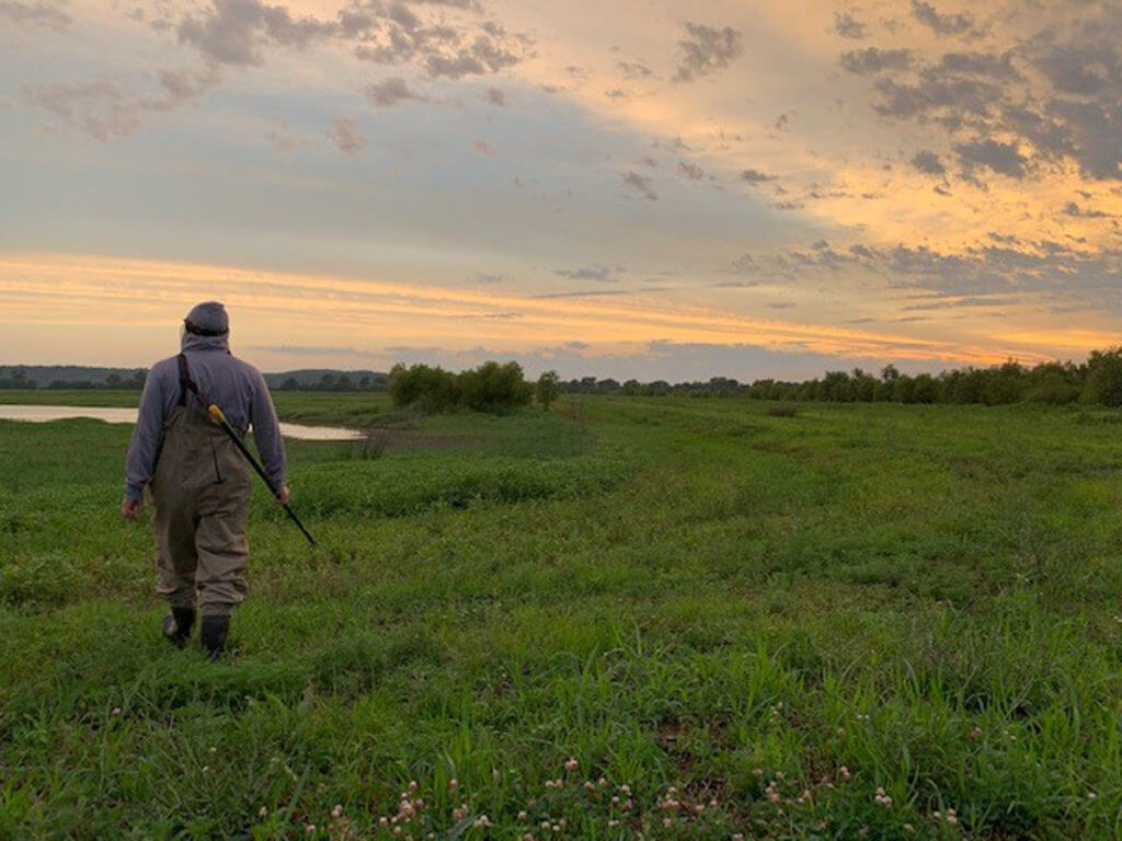 Frog Gigging