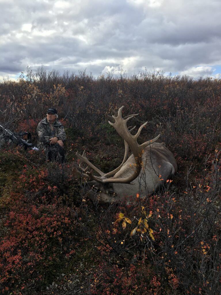 Quick, Fast, and In a Hurry - A Two Day Caribou Hunt