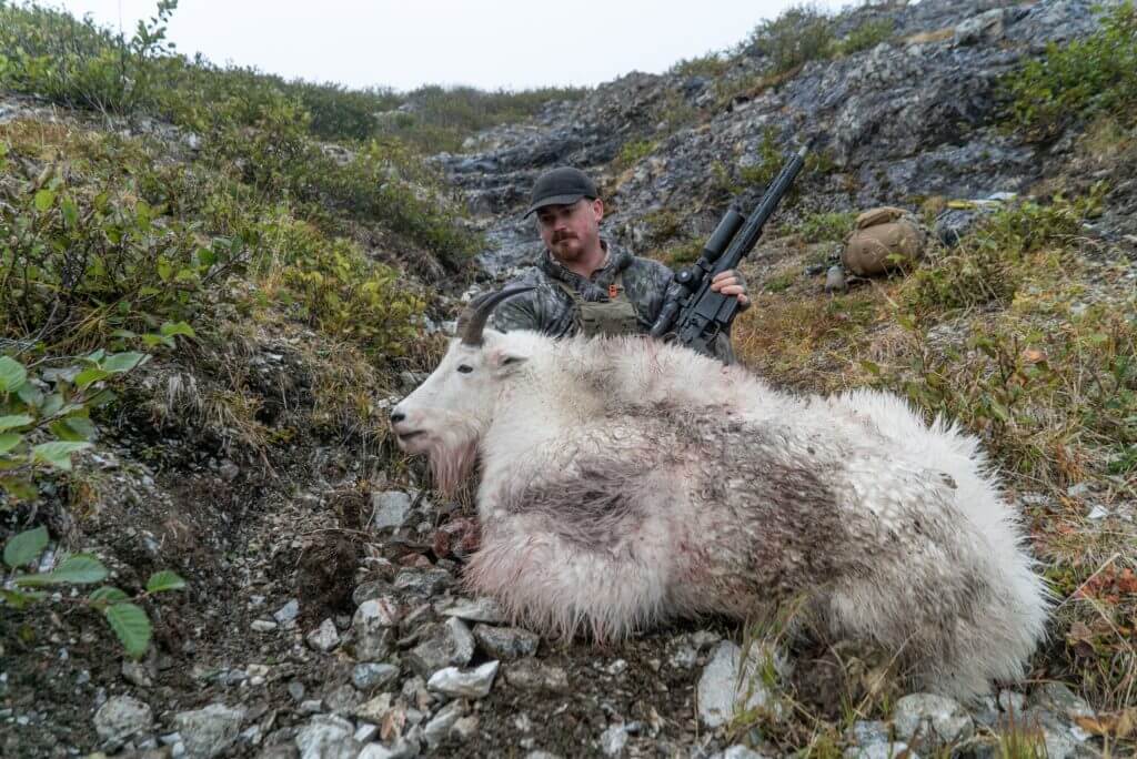 Mountain Goats and Hurricanes