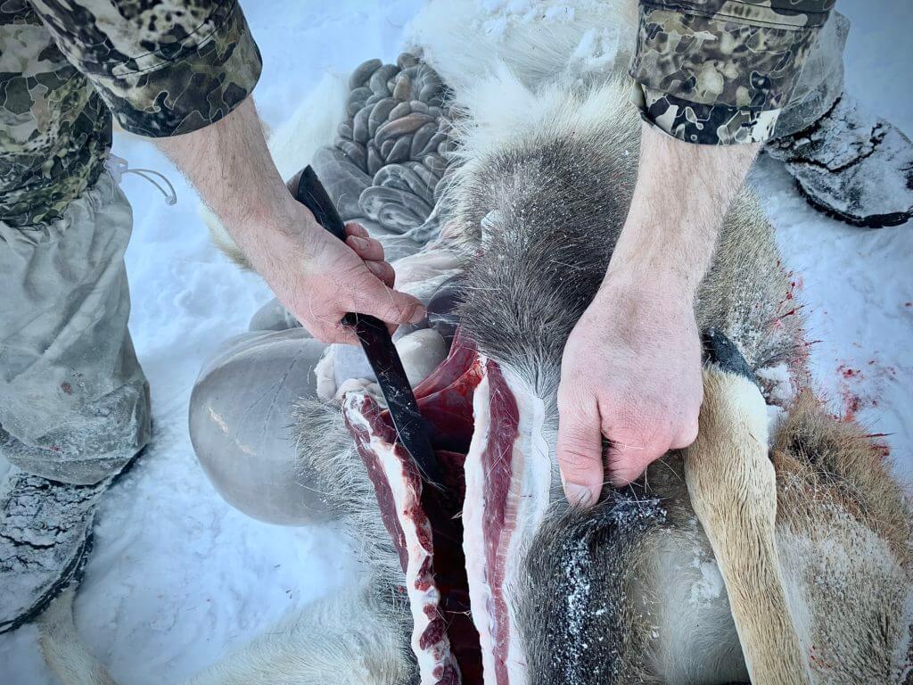 In the Woods: December Archery Deer Hunt in Idaho Part 3 of 3