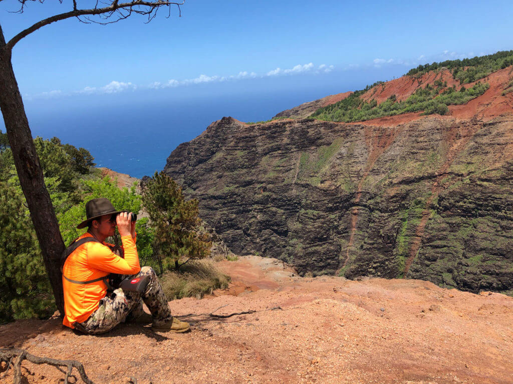 Take the Shot? A Traveling Hunter is Presented with an Easy Shot - but Only at the Risk of His Own Life - Presented by Springfield Armory