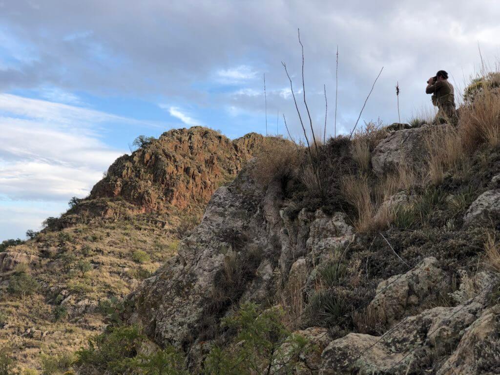 Take the Shot? A World-Class Coues Deer Offers A Challenging, Long-Range Shot In High-Wind Conditions - Presented by Springfield Armory