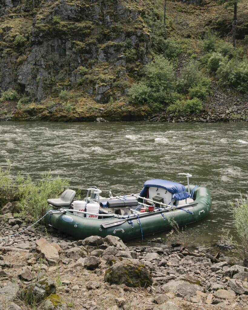 How to Hunt Bears from Boats