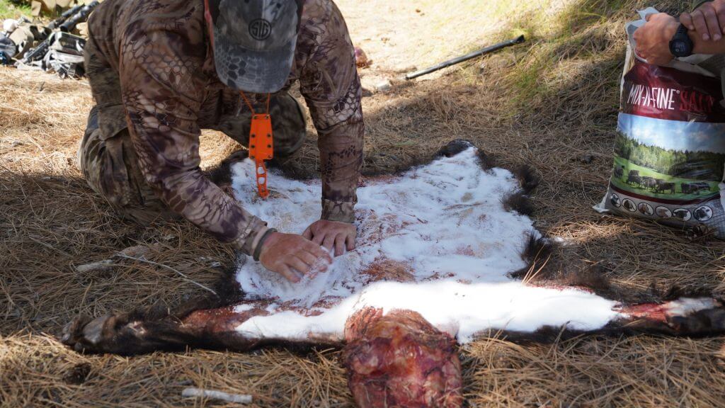 How to Hunt Bears from Boats