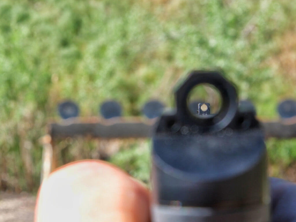 17 Facts about the Leupold DeltaPoint Micro and Field Test Report