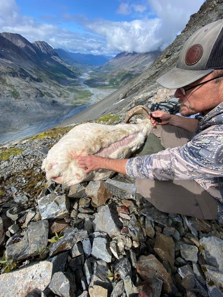 Dorsal Caping Your Trophy In the Field