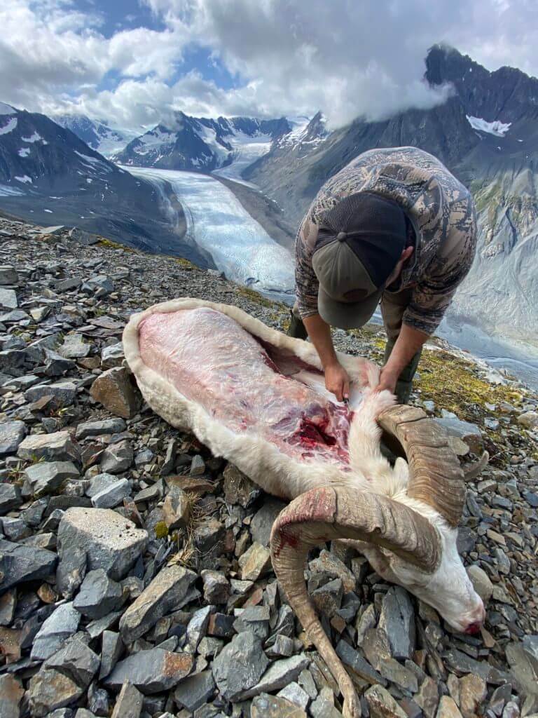 Dorsal Caping Your Trophy In the Field