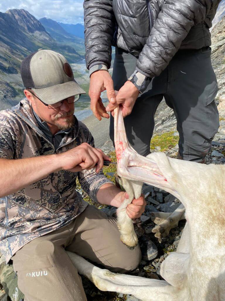 Dorsal Caping Your Trophy In the Field