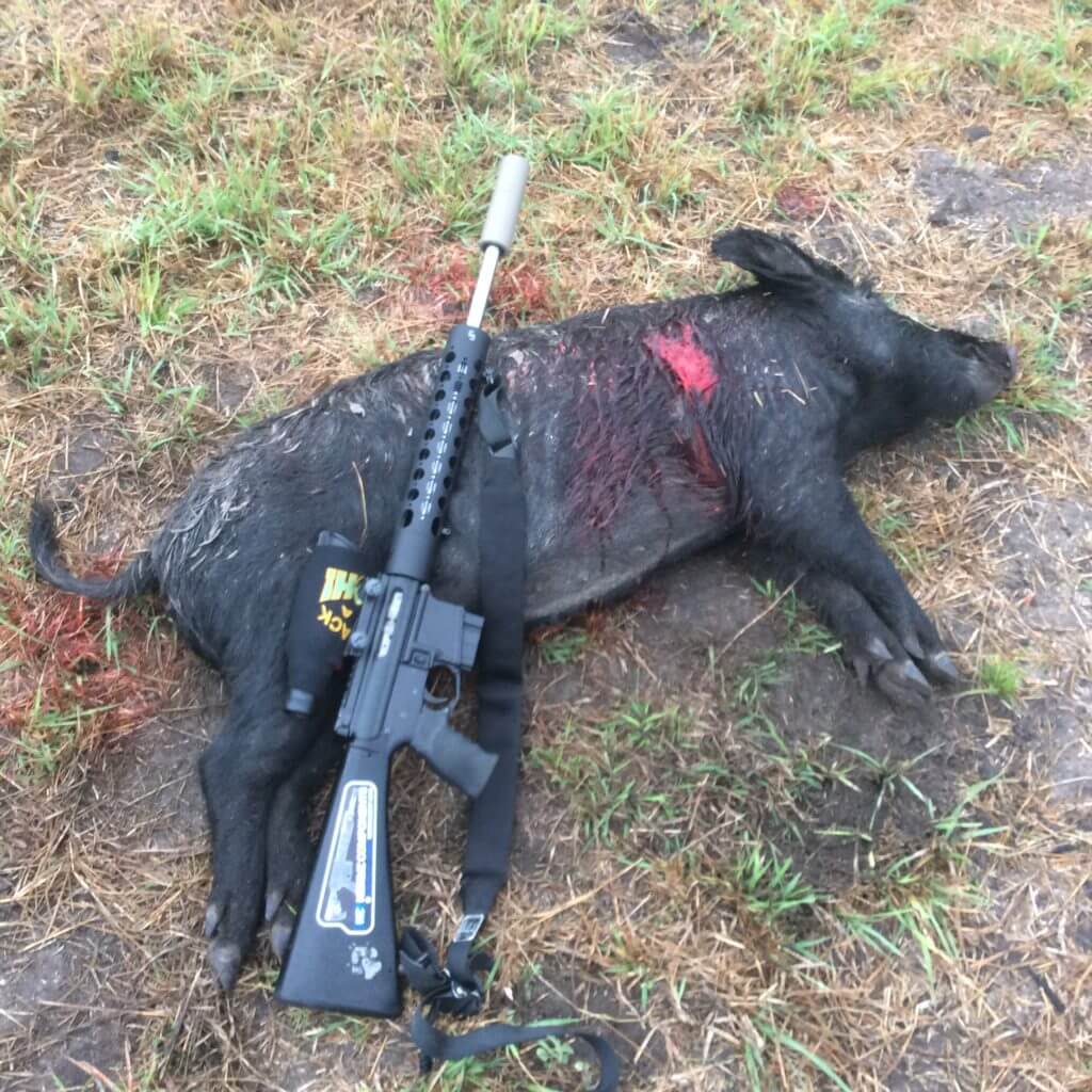 Hog Hunting with the Sharps Rifle Co. 25x45 in an AR-15