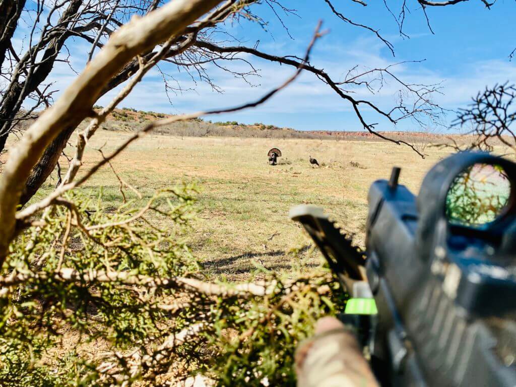 The West Texas Proving Grounds: Trijicon’s New Thermal Optics and Missing on Tom Turkeys