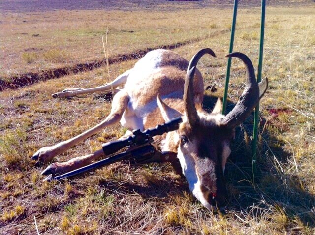 Wyoming Handgun Antelope