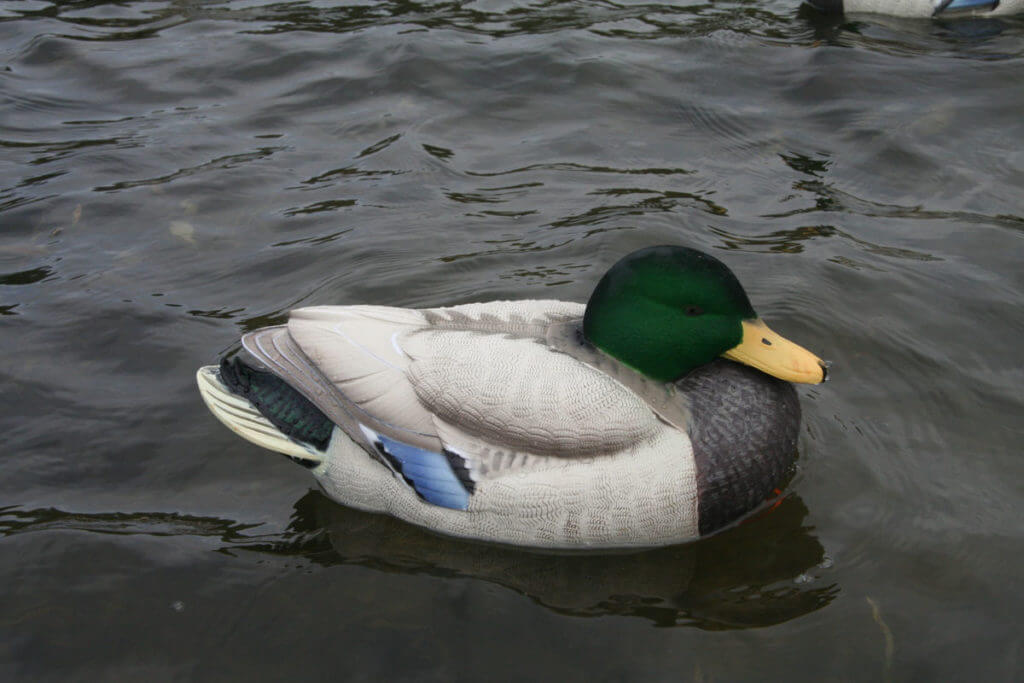 Lifetime Decoys FlexFloat Decoys