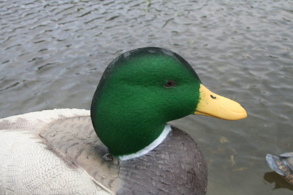 Lifetime Decoys FlexFloat Decoys