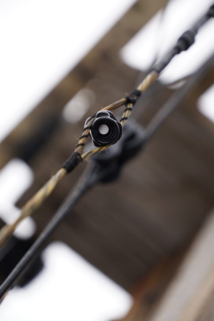 Bow Review: The Darton Spectra E