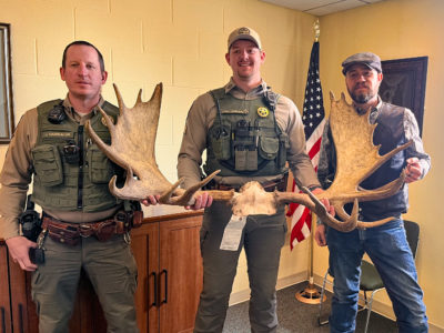 Montana Man Receives Lifetime Hunting Ban for Poaching Moose
